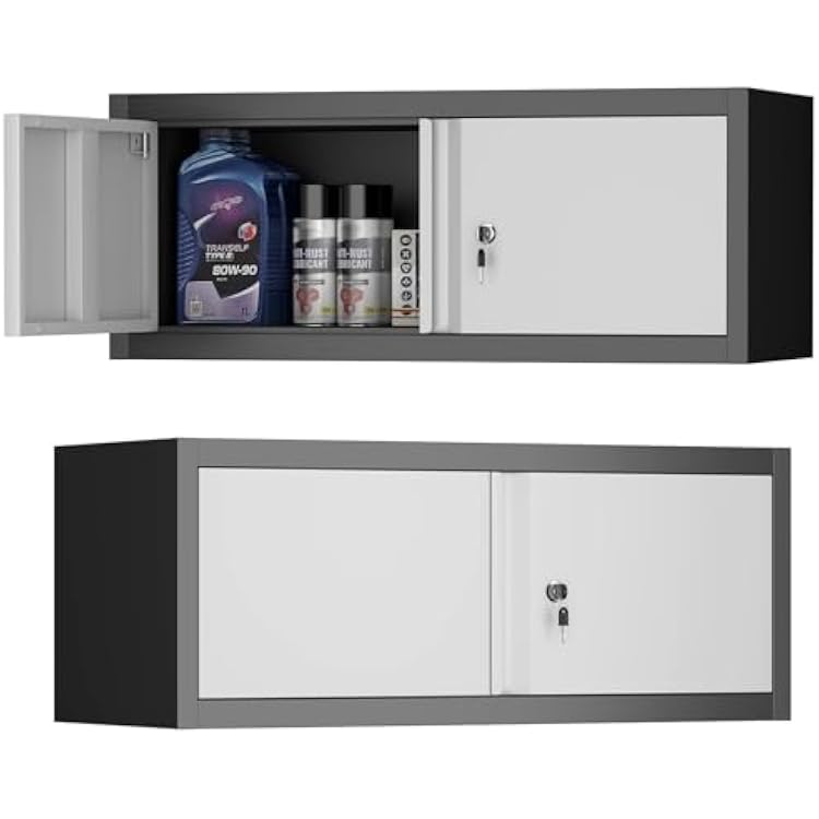 Metal Locking Cabinet, 12.8 H Garage Cabinet Wall Mount, Steel Storage with Doors, Floating Storage Organization for RV, Hanging Cabinets for Workshop, Warehouse, Wall Cabinet