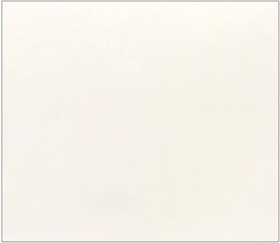 Solo Guitars Oxford Nitrocellulose Lacquer Arctic White 8oz Tin