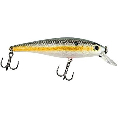 Trout Magnet Trout Magnet Bundle