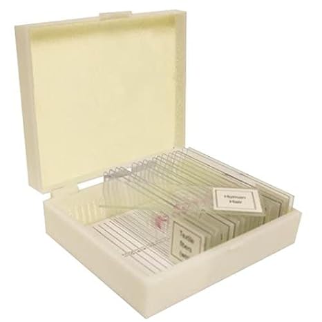 VSH108 Prepared Slide Set Basic Botany (Set of 15)