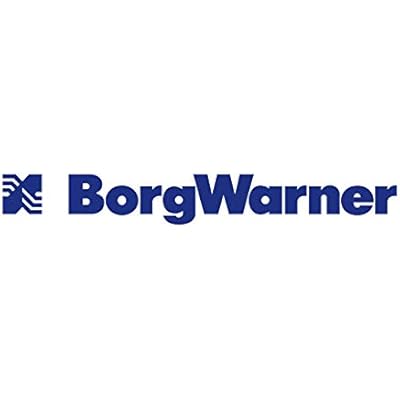 BorgWarner 13009097053 Super Core Assembly Super Core Assembly SX-E S300SX-E 8380, 1 Pack