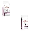 Royal Canin Veterinary Renal Special Feline Twin Pack 2 x 400g Complete Diet Feed for Adult Cats Can Help Support Kidney Functions
