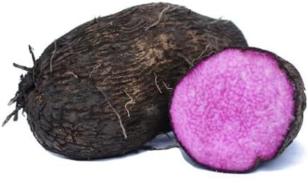 100pcs Purple Dioscorea Alata Vegetable Seeds