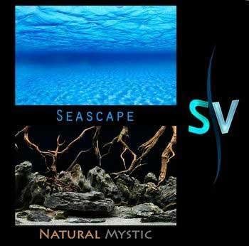 AVWBGSS112 Seaview Seascape/Natural Mystic Aquarium Background, 12-Inch