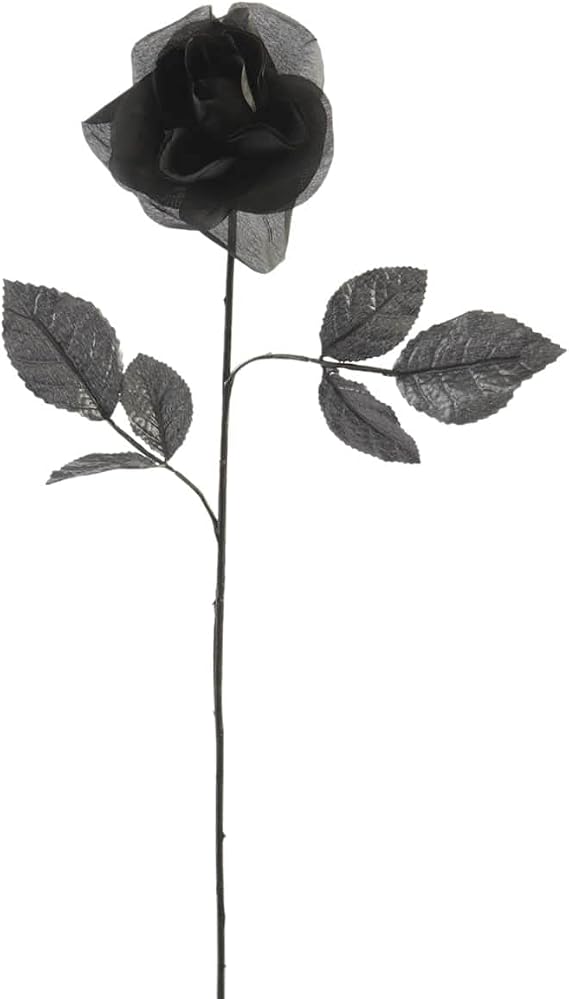 Ashland Black Open Rose Stem, 12 Pack