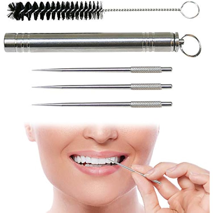 Stainless Steel Metal Toothpick Set with 3 Reusable Tooth Picks, Waterproof Toothpick Holder, and Cleaning Brush - Sturdy Metal Teeth Picks - EDC Gear for Men and Women - Silver Color