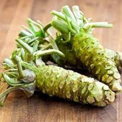90pcs Green Wasabi Vegetable Seeds