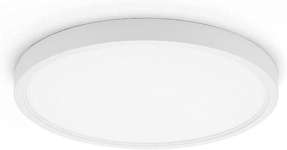 TALOYA 12 Inch Flush Mount LED Ceiling Light Fixture1 Pack