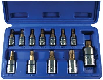 12 pc 5-Point Star Plus Torx Security Bit Socket Set