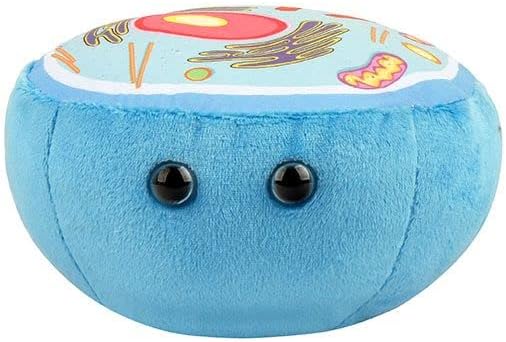 GIANT MICROBES Animal Cell Plush, Animal Cell Model, Biology Model, Biology Gifts, Science Classroom Decor, Science Teacher Gifts, Cell Biology, Biology Stuffed Animals
