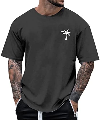 Mens T-Shirts Casual Graphic Crew Neck Tees Summer Short Sleeve Beach Vocation Fashion Big and Tall Pullover T Shirts