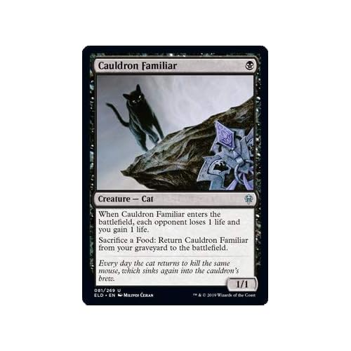 Cauldron Familiar