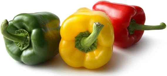 California Wonder Bell Pepper Seeds 25 Count, COOL BEANS N SPROUTS Brand. Heirloom. Non-GMO. Home Gardening.
