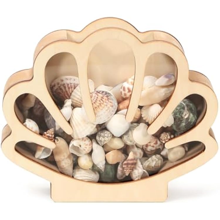 Xylolfsty Seashell Display Box Wooden Seashell Holder with Acrylic Panel Storage Box for Shells Sea Glass Small Starfish Shark Tooth Seashell Collection Home Decor Birthday Present
