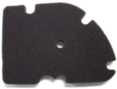 OEM Piaggio Premium Air Filter Sponge for Vespa: GT60, Granturismo 200, GTS 250/300(incl. ABS, HPE, Super Sport), Air Filter For Vespa: GTV 250/300(Sei Giorni incl.) Part# 831997, 8319970P