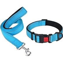 Taglory 8"-12" Dog Collar and 4 FT Dog Leash Set, Highly Reflective Threads Dog Leash, Adjustable Reflective Dog Collar with Safety Locking Buckle for Puppy Dogs