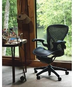 Aeron Chair by Herman Miller with PostureFit, Highly Adjustable Classic Carbon, Graphite Size B Medium Posture Fit