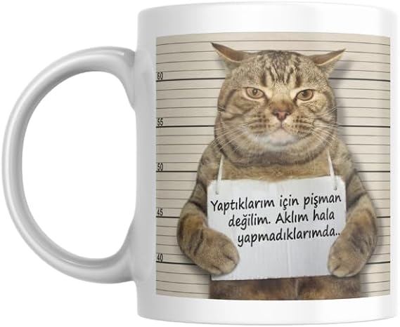 I Have No Regrets Mug with Funny Writing Cup Gift Tea Coffee Cup Coffee Mug