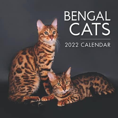 Bengal Cats 2022 Calendar: 12 Months 2022 Calendar Paperback August 25, 2021