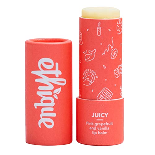 Ethique Juicy Nourishing Lip Balm - Plastic-Free, Vegan, Cruelty-Free, Eco-Friendly, 0.32 oz Pack of 1