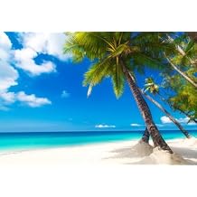 AOFOTO 10x8ft Sea Beach Photography Background Hawaiian Luau Seaside Palmtree Backdrop Vacation Trip Blue Sky Summer Holiday Boy Girl Lovers Adult Portrait Wedding Photo Studio Props Vinyl Wallpaper