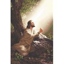 Luca-S Needlepoint (Half Cross Stitch) Kit, Gold Collection - Jesus Christ, G618