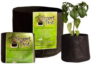 Smart Pot Black 2 Gallon (100/Cs)