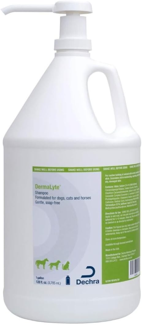DermaLyte Shampoo - Gallon