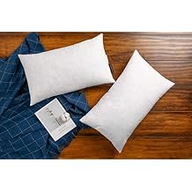 JA COMFORTS 1220 Premium Goose Down Feather Throw Pillow Inserts(Set of 2)-5% Down Filling,High Filling Weight,250 TC Cotton Cover, Square, White