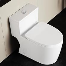 WinZo 10" Rough-in Elongated Toilet One Piece Modern Design Dual Flush 1.1/1.6 GPF For Bathroom,White