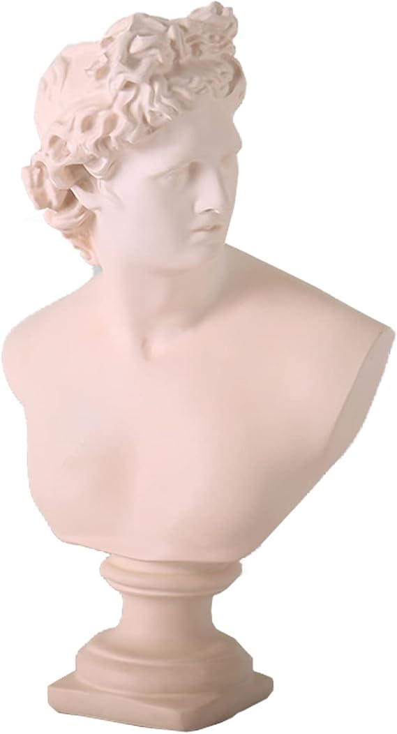 Classic David Statue Bust Apollo Bust Statue Resin Statue Replica Sculpture Figurine Home Decor Resin Crafts for Sketch Practice Artist