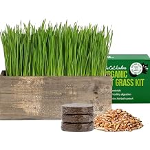 The Cat Ladies Cat Grass Kit Complete with Rustic Wood Planter, Organic Seed and Soil. Easy to Grow - Great for Indoor or Outdoor Cat, Dogs and Other Pets. Prevent Hairballs and Aid Digestion