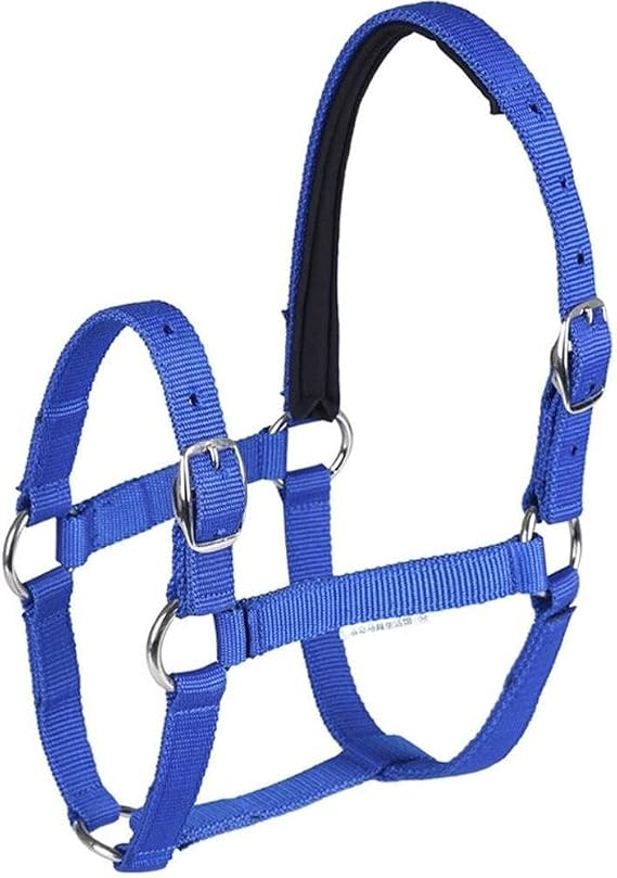 Equestrian Accessories Hollow Adjustable Horse Riding Equestrian Horse Horse Headknot Horse Horse Tack Blue