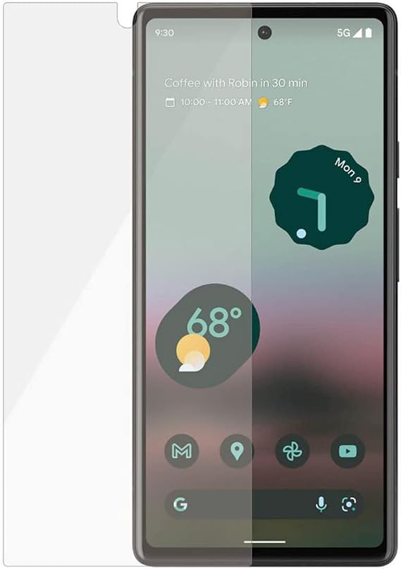 Microcase Google Pixel 6A Tempered Glass Cam Ekran Koruyucu