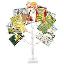 Vanthylit Money Tree Gift Holder, Lighted Tabletop Birch Tree with Clips and Greeting Cards, Photo Decorations for Birthday Wedding Christmas Graduation Gifts(24 LED Warm White)