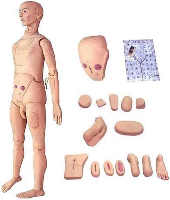 Patient Care Simulator Life Size Male and Female Human Anatomical Model for Students Education Teaching Medical Training Skills