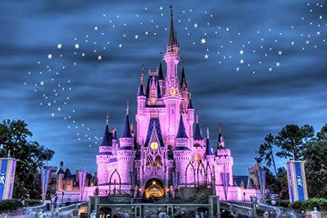 Disney Castle - Canvas OR Print Wall Art