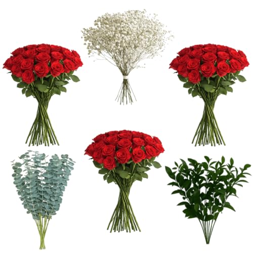 GlobalRose 75 Red Roses with Babys Breath, Ruscus & Eucalyptus | Bulk Fresh Flowers for DIY Arrangements, Events, or Gifts