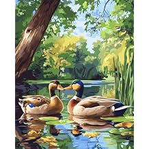 Amcdjkery Paint by Numbers Canvas 40x50cm No Frame,Relaxing DIY Art for Adults,Challenging & Rewarding Painting Experience,Elegant Home Decor Solution,Mandarin Ducks in The Pond