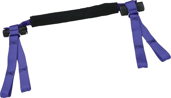 High Roller HR601-20 Blue Handlebar Harness