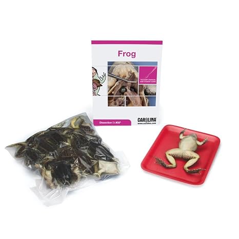 Frog Dissection BioKit