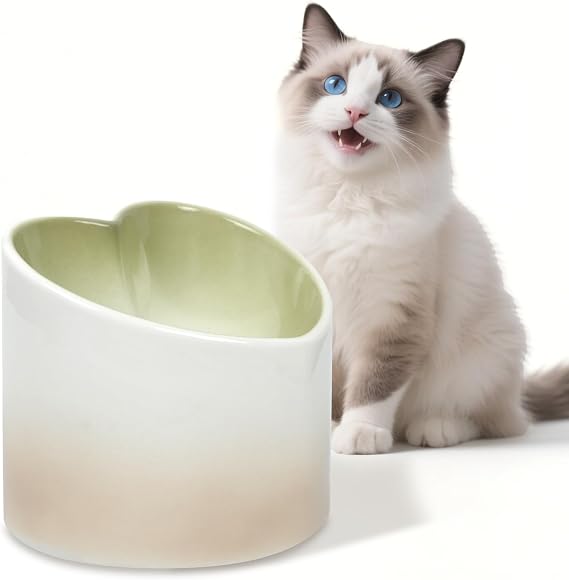 Ceramic Raised Cat Bowl Elevated Cat and Dog Bowls Whisker Friendly Tilted Elevated Cats Food Bowl Anti Vomit Pet Dish 4.72inches Height for Pet Easy Eating, Protect pet's Spine