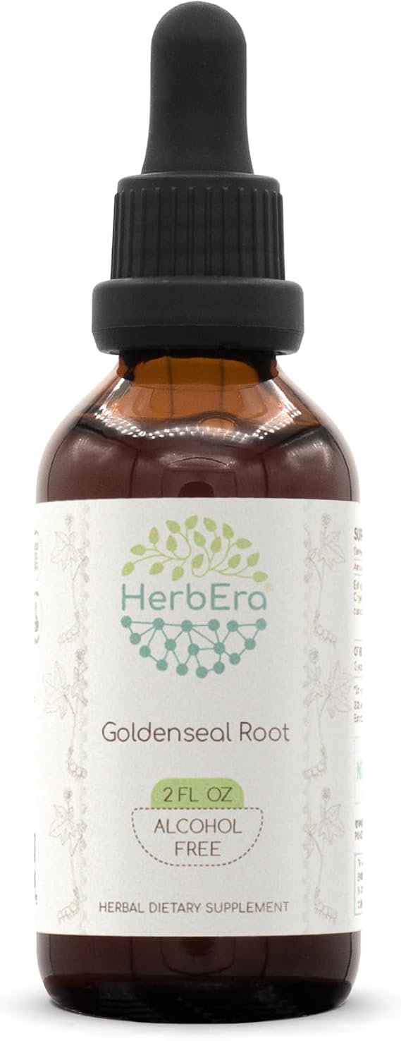 HerbEra Goldenseal Root B60 Alcohol-Free Herbal Extract Tincture, Super-Concentrated Responsibly farmed Goldenseal (Hydrastis Canadensis) (2 fl oz)