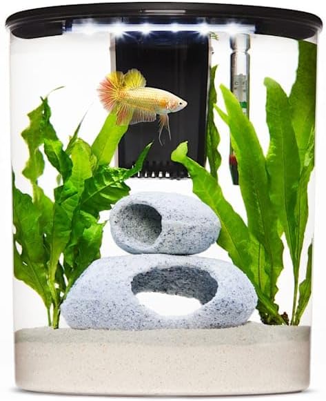 imagitarium by Petco Plastic Half-Moon Betta Aquarium 2.5 Gallon