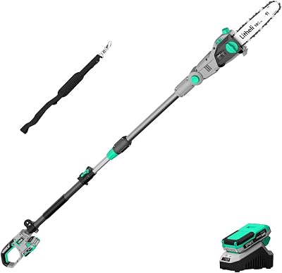 Litheli 20V Pole Chain Saw Battery Powered for Tree Trimming, 10 Electric Cordless Pole Saw with Battery for Tree Trimming, 2.0Ah Battery&Charger, Pole Saws for Branch Cutting, Trimming