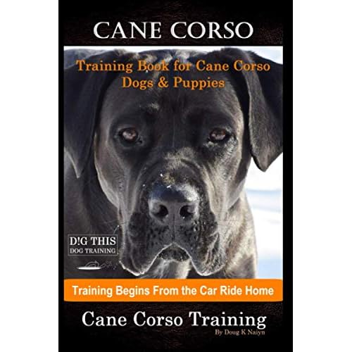 Cane Corso Training Book for Cane Corso Dogs & Puppies By D!G THIS DOG Training, Training Begins from the Car Ride Home, Cane Corso Training Paperback September 30, 2020