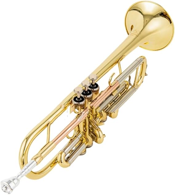 Musical Instruments Trumpet Professional Teaching For Beginners Of Tricolor Trumpet In B-flat Orchestra Performance