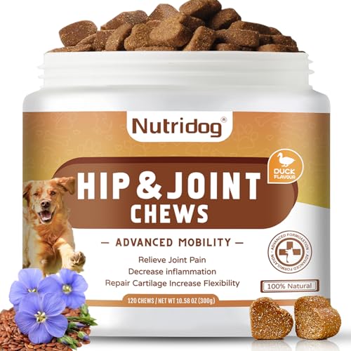 Hip and Joint Supplement for Dogs with Glucosamine, Chondroitin & MSM - Duck Flavor Joint Care Chews, 120 Count - Advanced Mobility Support - Senior Dog Approved Duck