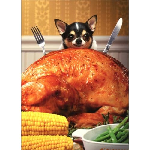 YeegfeyA Little Dog Behind Big Turkey - Avanti Funny Chihuahua Thanksgiving Card