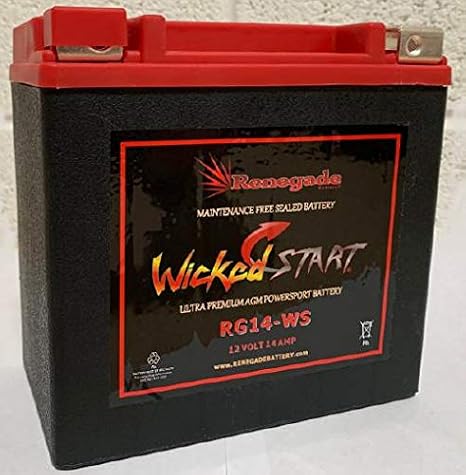 ATV Battery; RG14-WS; 300+ CCA's; Fits Suzuki (2007-2010) LT-A450X KingQuad AXi 4x4 / (2002-2007) LT-A400 Eiger / (2008-2022) LT-A400F King Quad; Part# ES14BS, BTX14-BS, UT14-BS, TYX14-BS